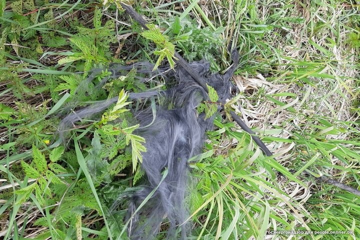 Один умер, двое ранены. Рыбаки массово открыли сезон электротравм