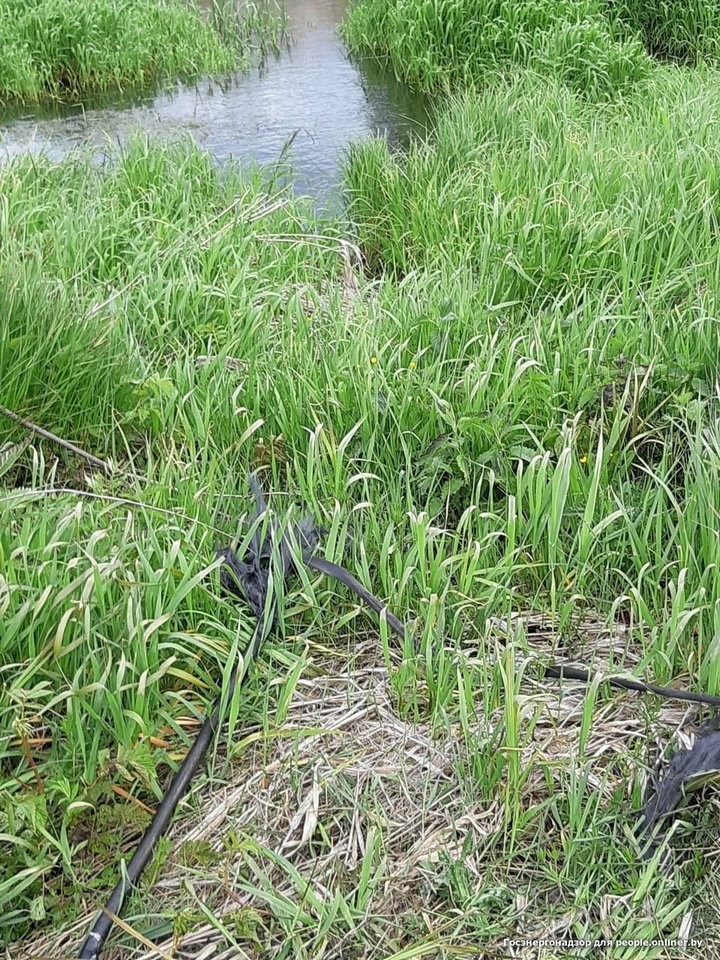 Один умер, двое ранены. Рыбаки массово открыли сезон электротравм