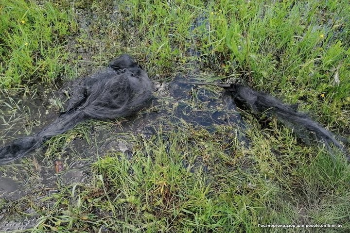 Один умер, двое ранены. Рыбаки массово открыли сезон электротравм