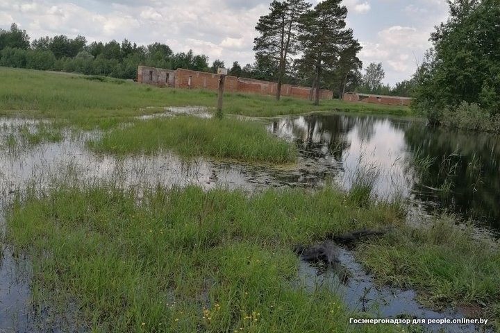 Один умер, двое ранены. Рыбаки массово открыли сезон электротравм