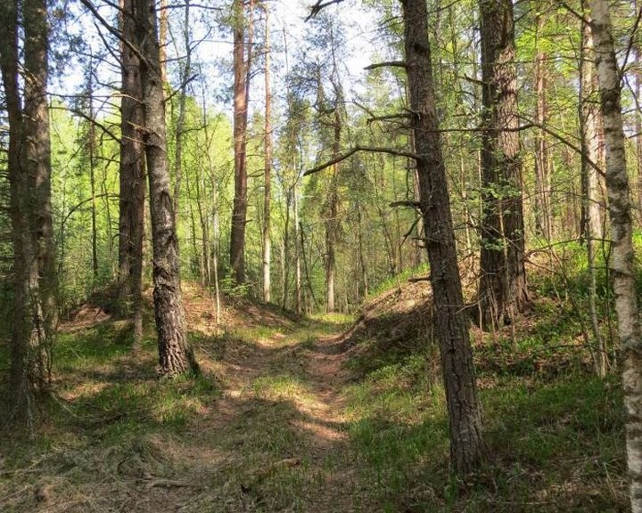 Фото из открытых источников (иллюстративное)