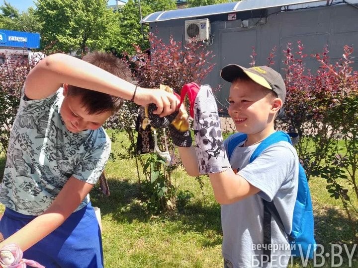 Книжные радости очень умелых ручек познавались в Бресте