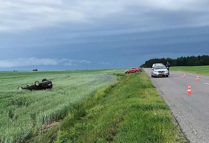 Мать ребенка во время движения решила поднять игрушку - Volkswagen вылетел в кювет