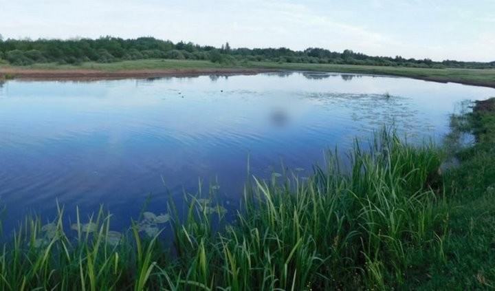 В Беларуси 14-летний подросток утонул вместе с конем