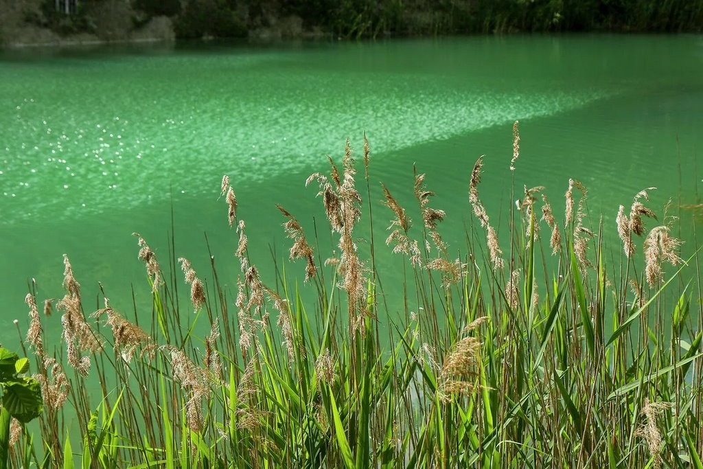 Отдых на белорусских Мальдивах — чем сейчас привлекают меловые карьеры