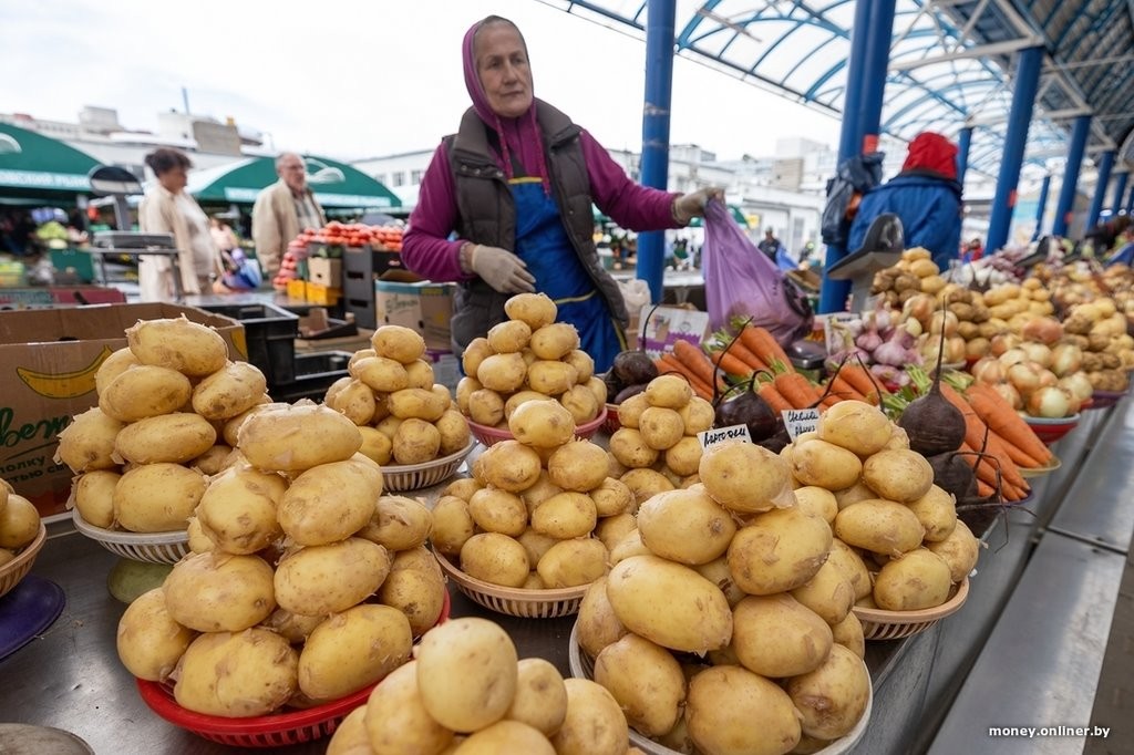Назван район Брестской области, который может обеспечить картошкой и капустой всю Беларусь
