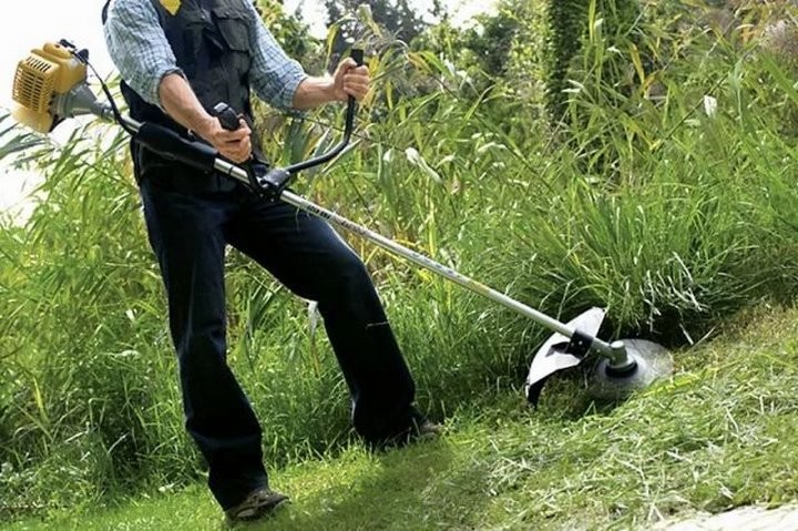 Фото из открытых источников (иллюстративное)