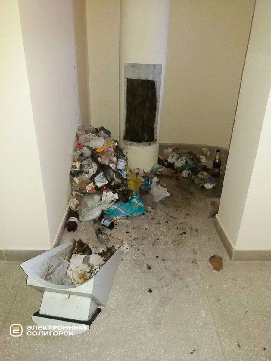 Неожиданно: белоруска обнаружила в коляске огромную крысу, которая полчаса бегала по ножкам дочки