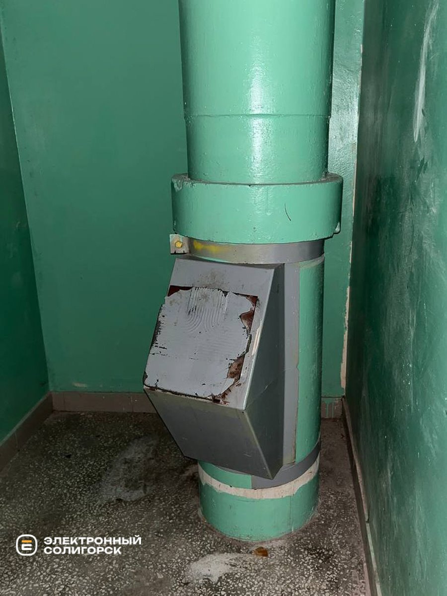 Неожиданно: белоруска обнаружила в коляске огромную крысу, которая полчаса бегала по ножкам дочки