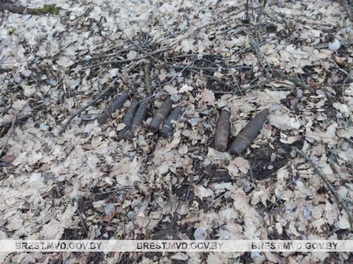 В Барановичском районе мужчина на прогулке в лесу нашел снаряды времен ВОВ