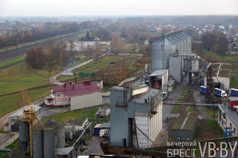 Тигры из цирка братьев Запашных с аппетитом поедают корм жабинковского производства