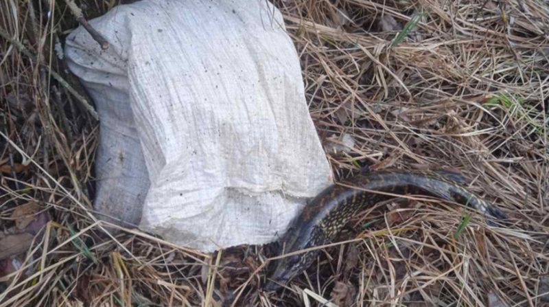 В Ганцевичском районе задержаны браконьеры