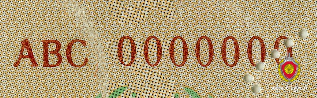 В Беларуси всплыли поддельные дипломы. Как отличили фальшивку?