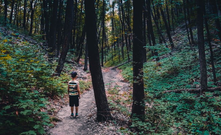 Если ребенок потерялся в лесу: что нужно знать родителям, чтобы избежать трагедии