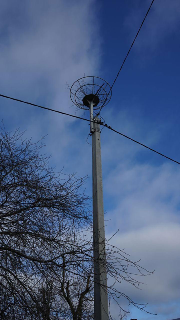 Необычные «квартиры» для аистов создают в Бресте