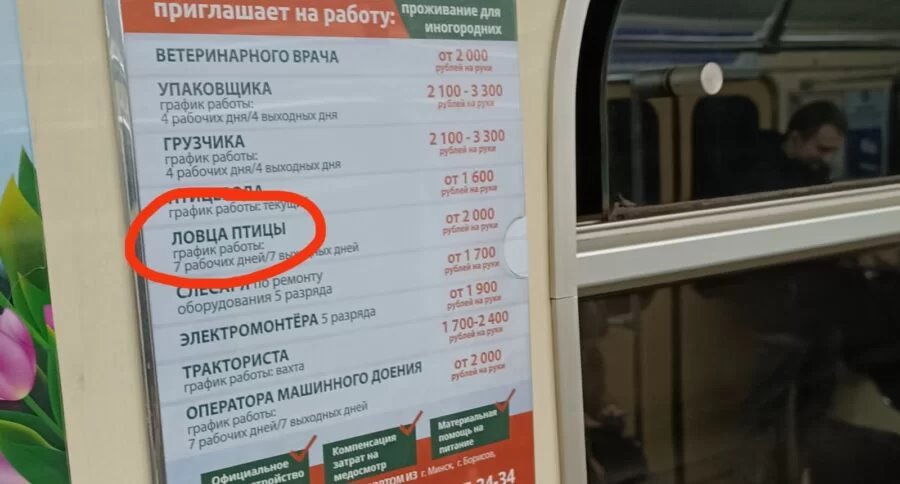 Ловец птиц. Нашли необычную вакансию с зарплатой от 2 тыс. рублей