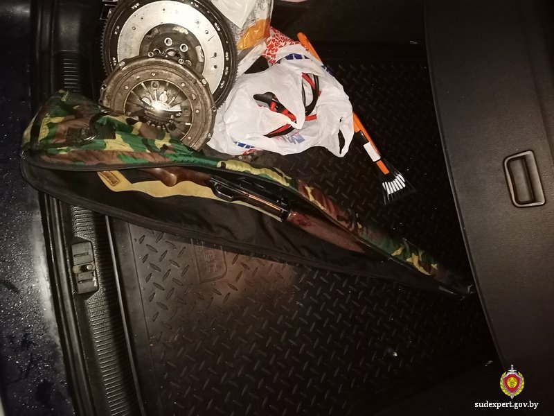 Белорус незаконно добыл благородного оленя и скрылся. Что ему грозит?