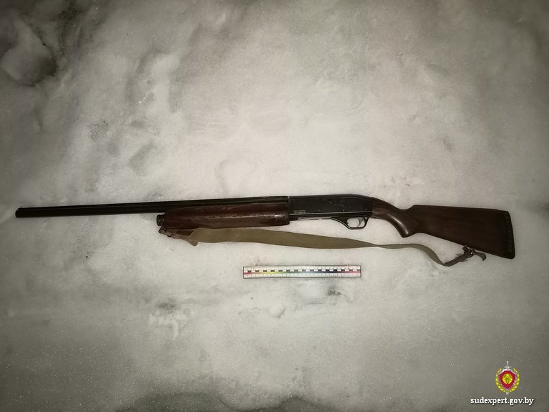 Белорус незаконно добыл благородного оленя и скрылся. Что ему грозит?