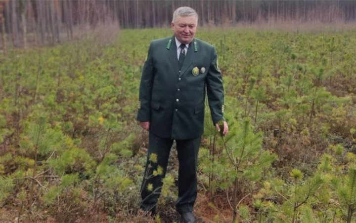 В Беларуси определили лучшего лесничего