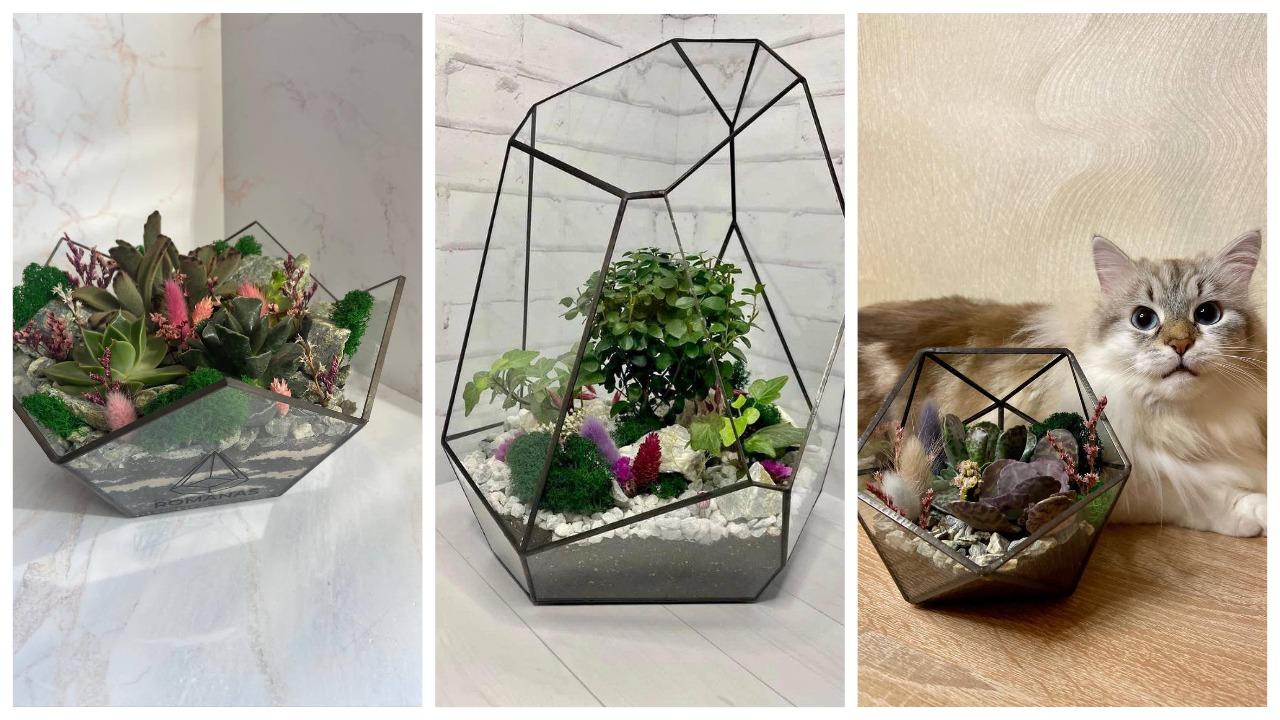 «Каждую неделю дарил жене кактусы, а потом — запустил бизнес». Посмотрите, какие флорариумы делает этот белорус