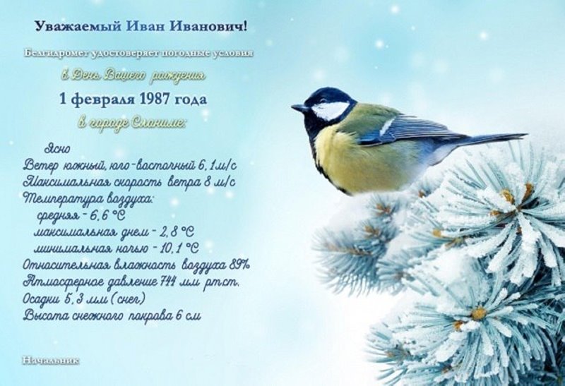 Новинка от Белгидромета: в Беларуси теперь можно подарить паспорт погоды