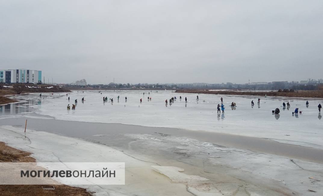 В Могилеве десятки рыбаков вышли на тающий лед