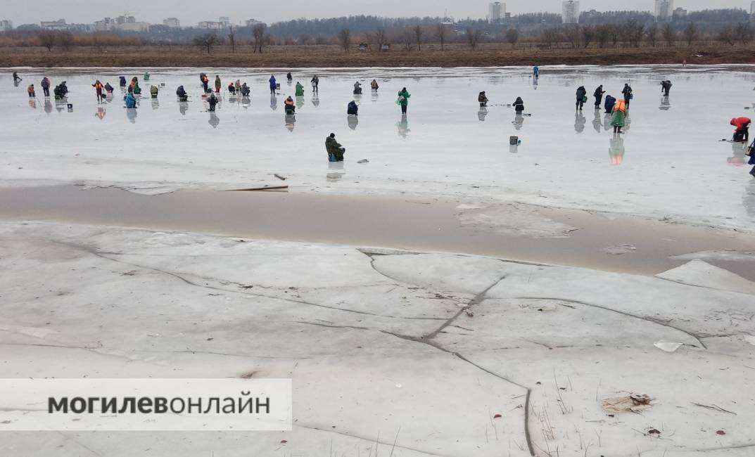 В Могилеве десятки рыбаков вышли на тающий лед