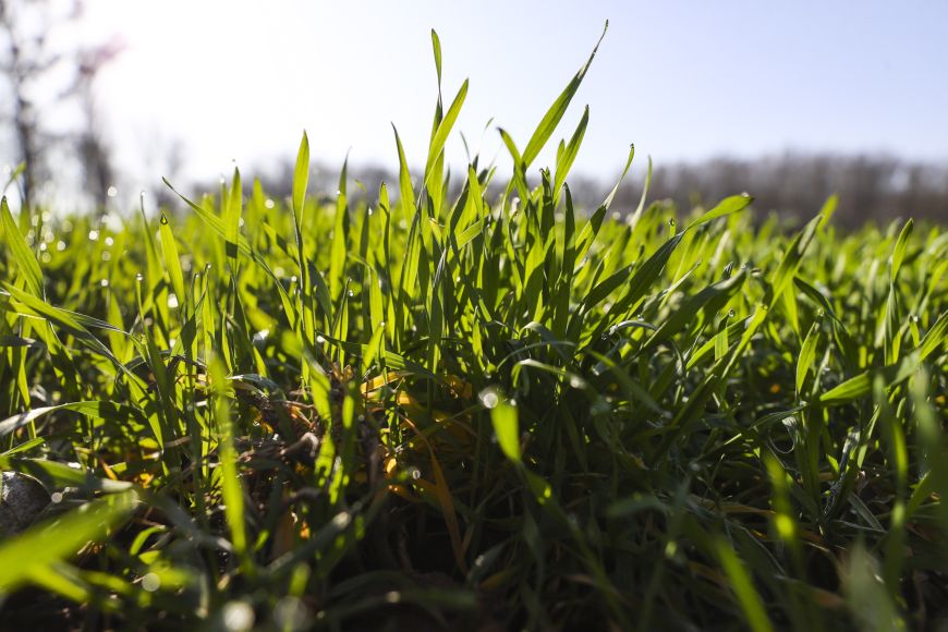 С любовью к земле и людям, или Как в Жабинковском районе женщина руководит целым хозяйством