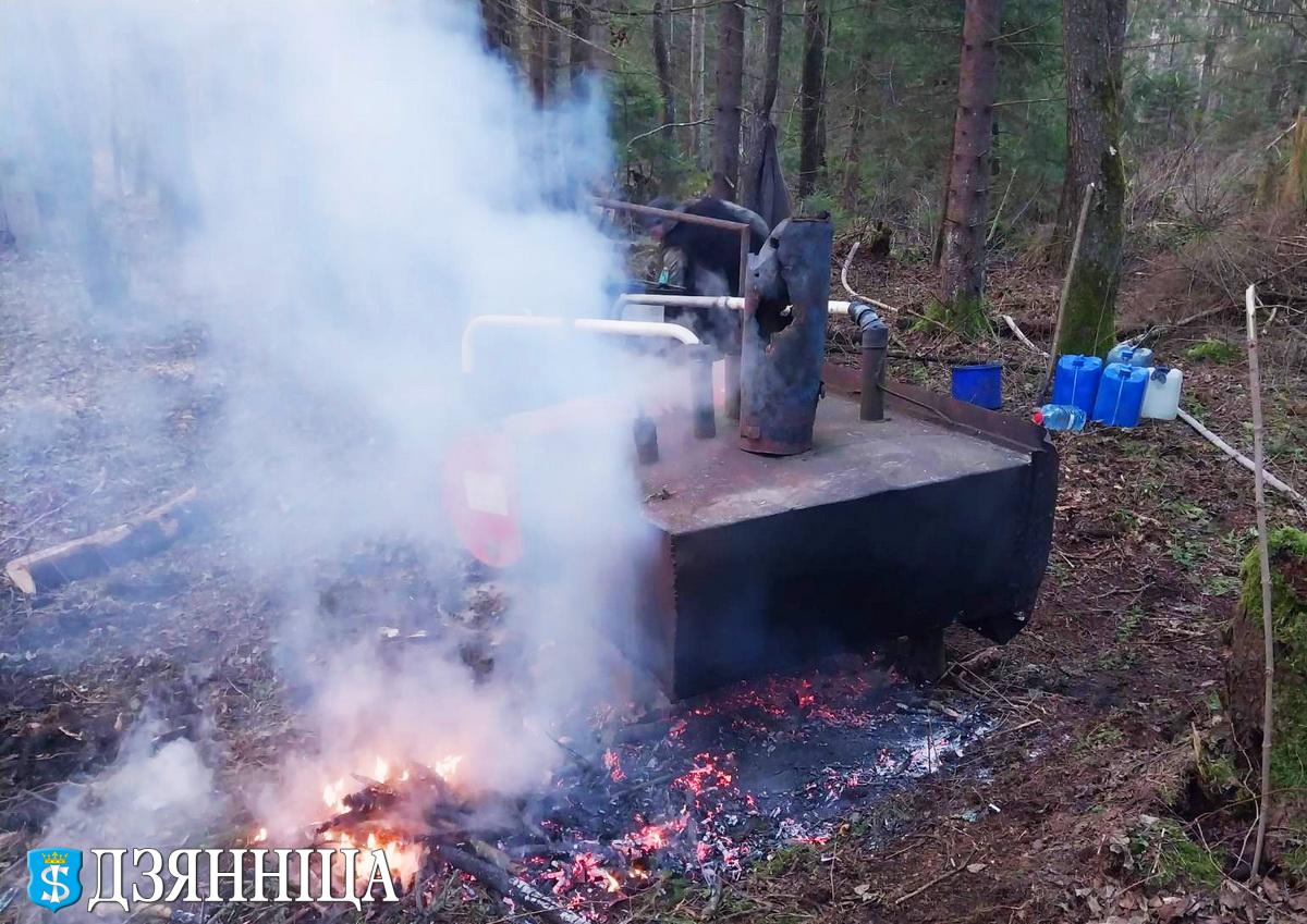 Милиция «накрыла» в лесу самогонный мини-завод