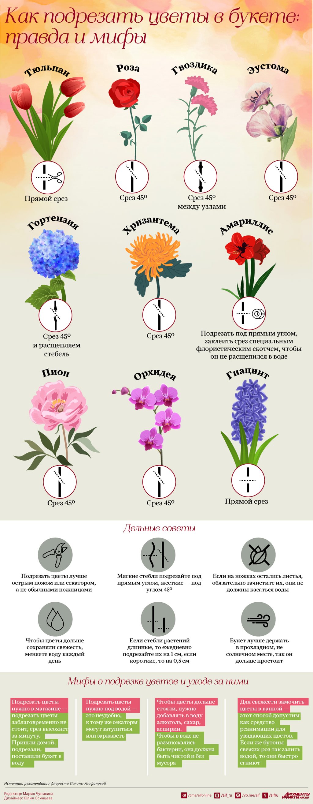 Как подрезать цветы в букете: правда и мифы