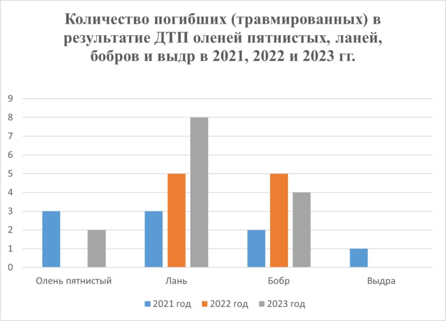 Стало больше почти на 12%. Подробная статистика ДТП с участием диких животных в Беларуси за 2023 год