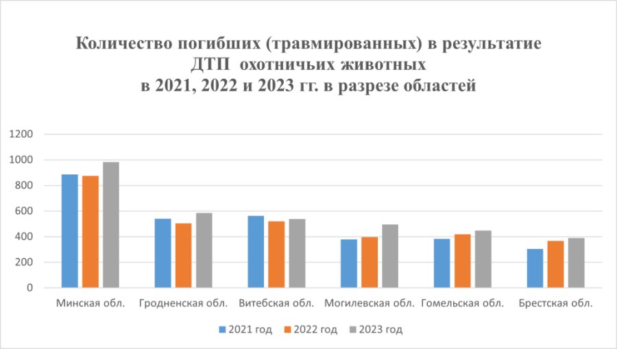 Стало больше почти на 12%. Подробная статистика ДТП с участием диких животных в Беларуси за 2023 год