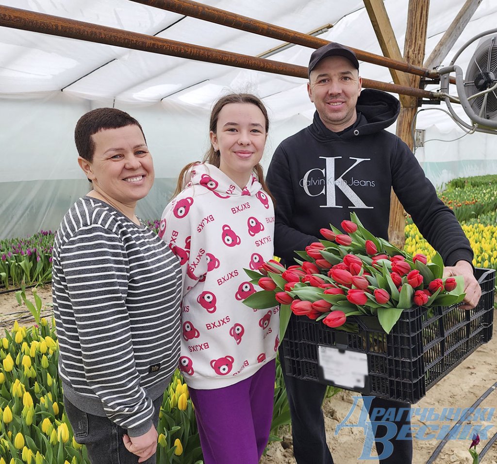 Семья из Дрогичина поделилась секретами выращивания тюльпанов
