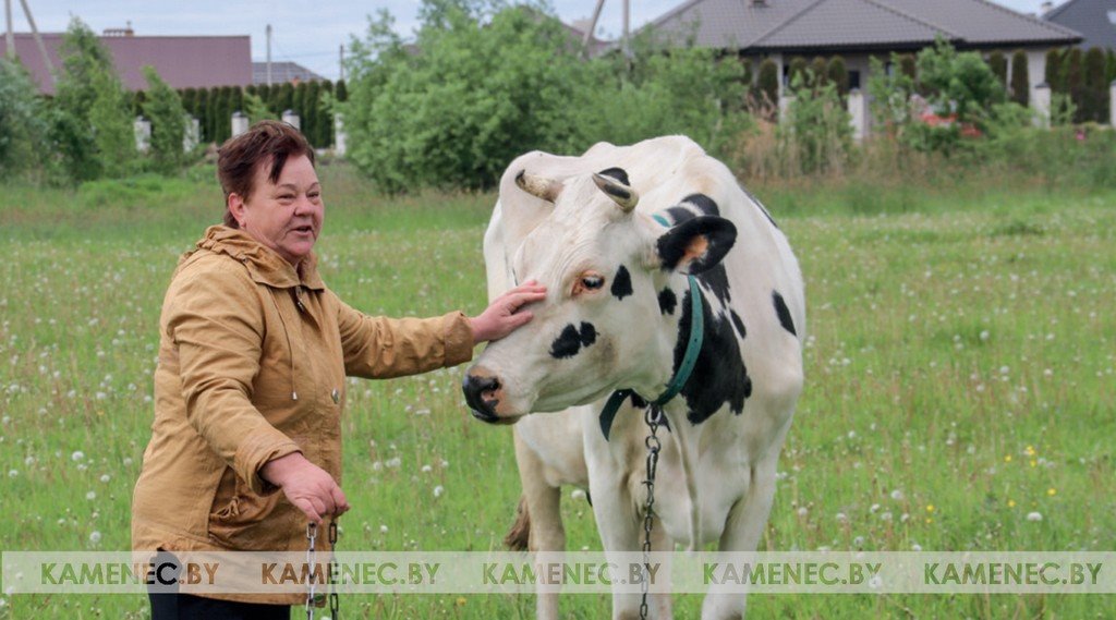 Cемья Игнашевич из Каменецкого района о своем хобби