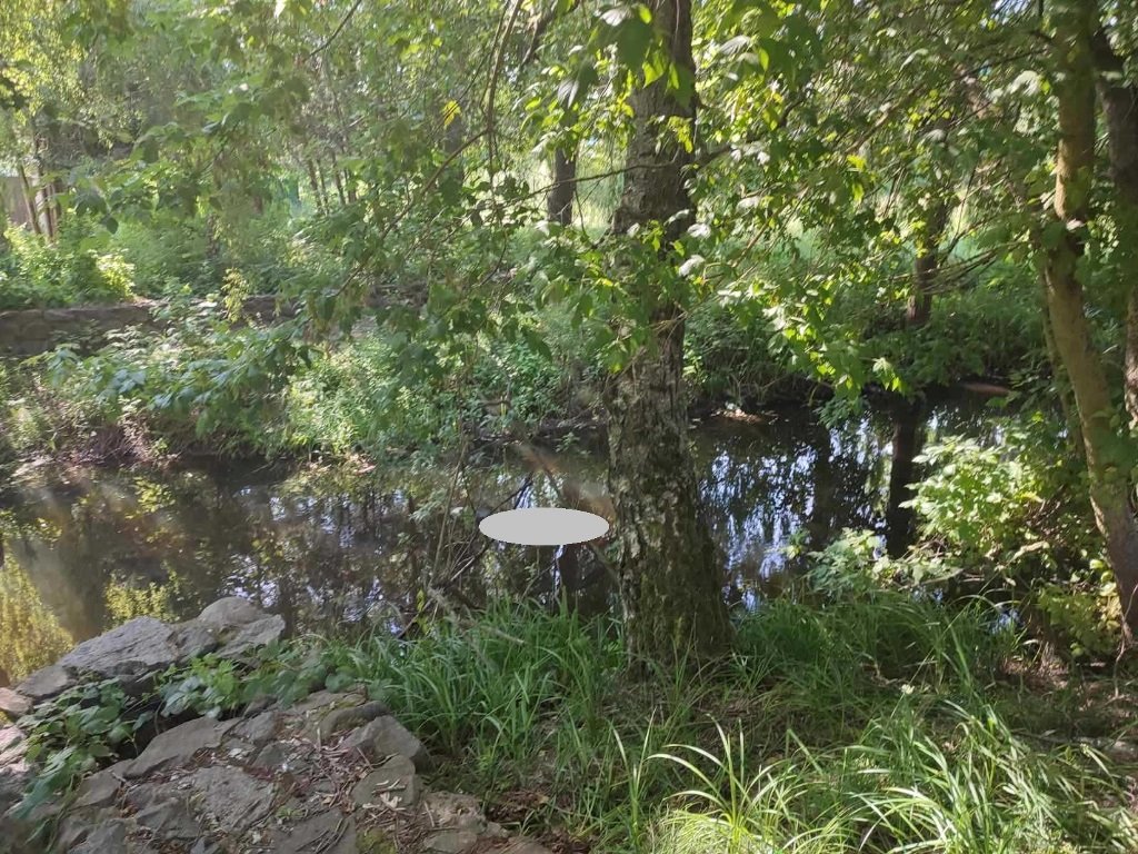 В Пинском районе утонул мужчина в реке Меречанка