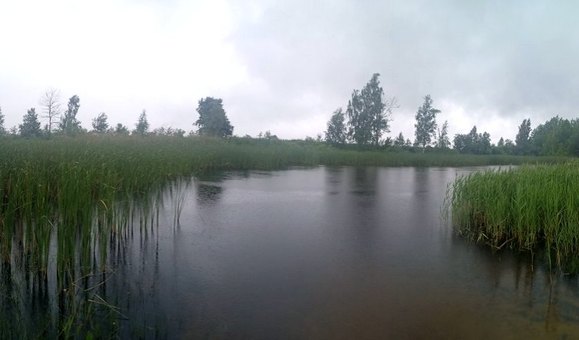 В Берёзовском районе утонул рыбак. Его обнаружил в воде брат