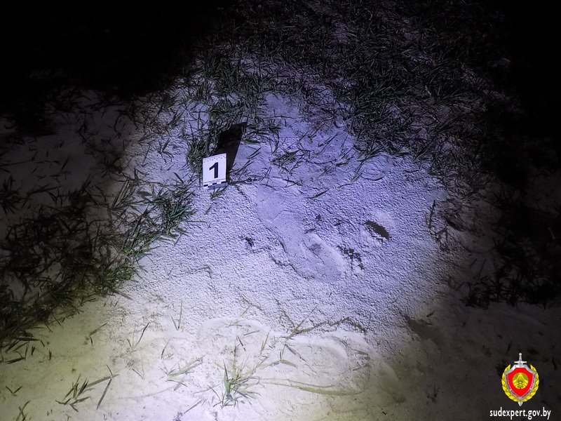 В Кобринском районе по следу обуви удалось установить злоумышленника