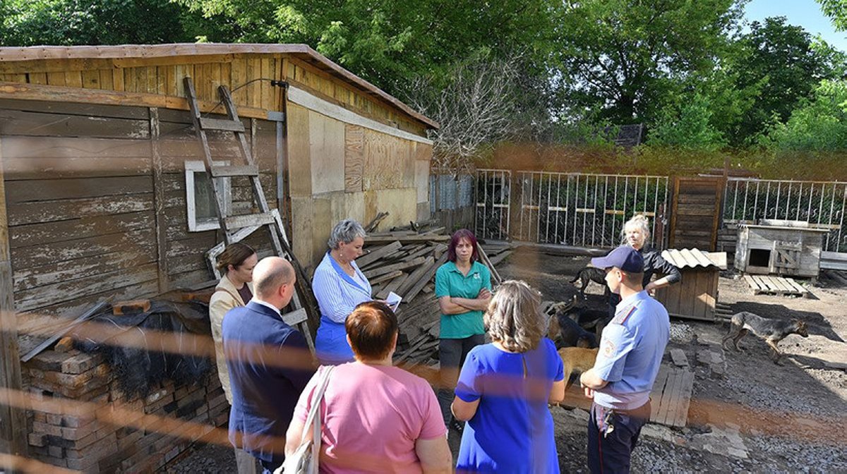 В Гомеле из-за лая собак не спит целая многоэтажка. Что говорит закон?