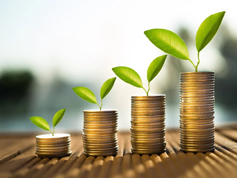 Финансовая азбука важна для людей с невысоким достатком. Специалист развеяла пять мифов о финансах