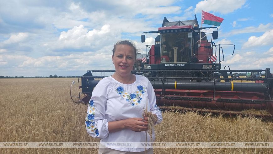 «Так рано жатву еще не начинали». Репортаж из Брестской области