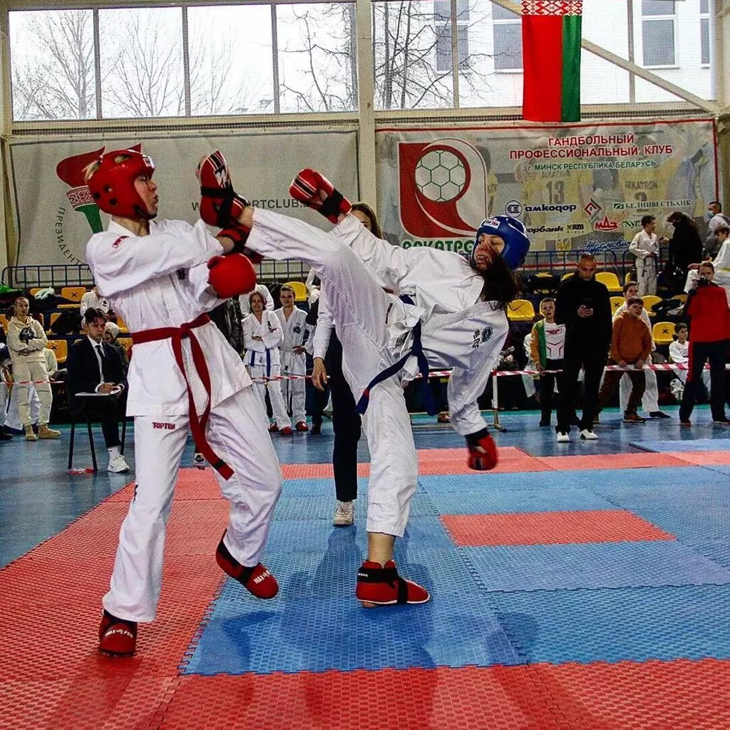 Школьница с черным поясом по тхэквондо сдала ЦЭ на 100 баллов