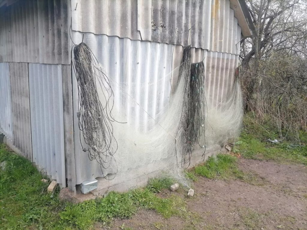 Браконьерский рекорд: незаконная рыбалка обошлась почти в 90 тыс. рублей