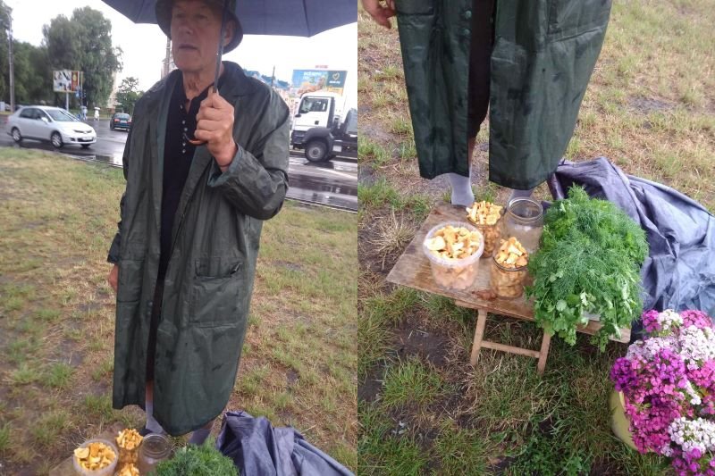 Грибник рассказал, почем лисички из Малоритского района