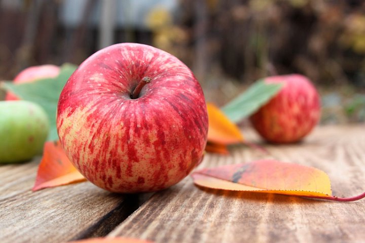 Что будет, если съесть фрукт с червяком? Рассказал врач