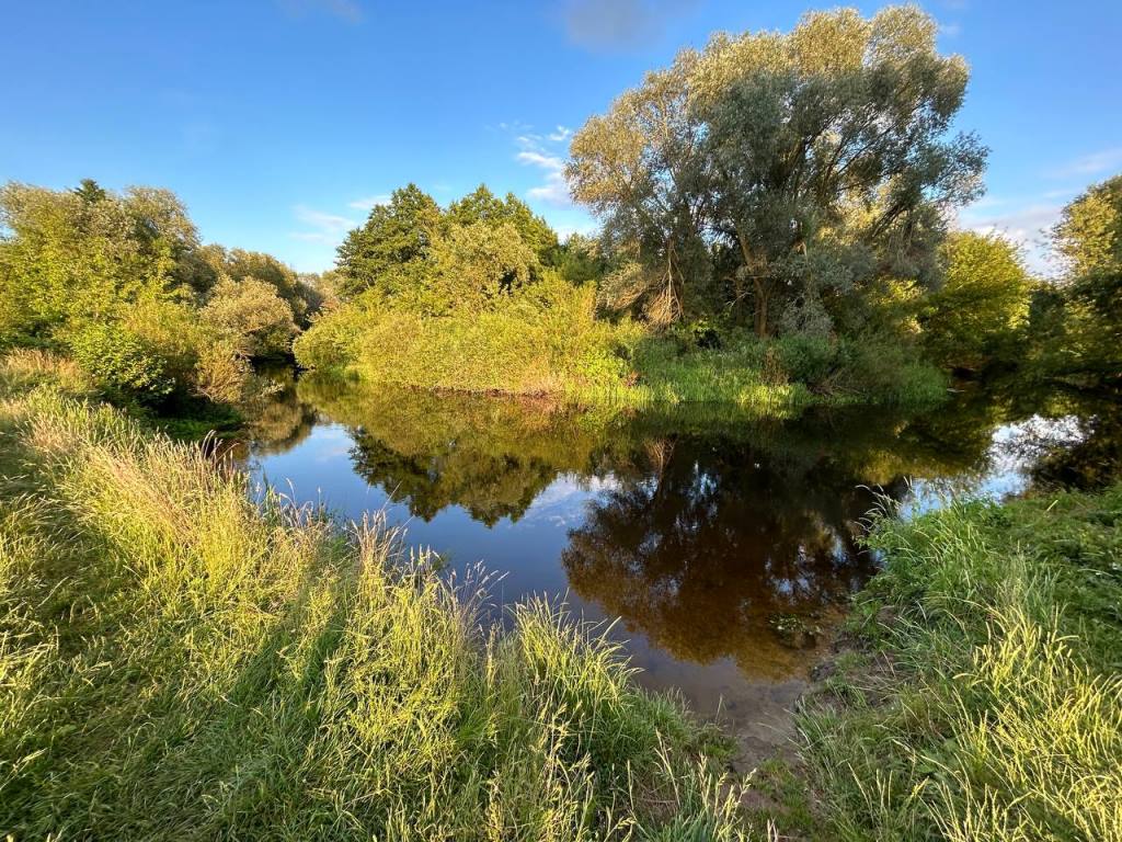 В Брестском районе утонул мужчина