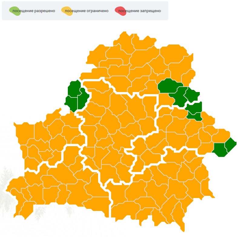 Ограничения на посещение лесов введены почти по всей Беларуси