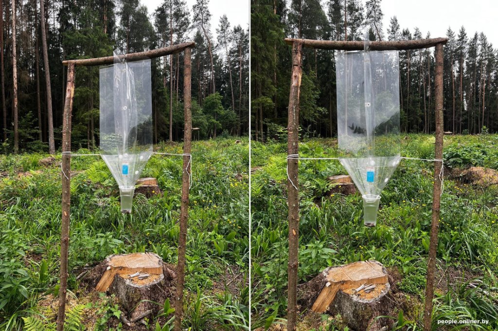 Белорус нашел в лесу странное приспособление. Угадаете, что это?