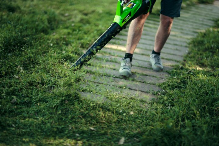 Фото из открытых источников (иллюстративное)