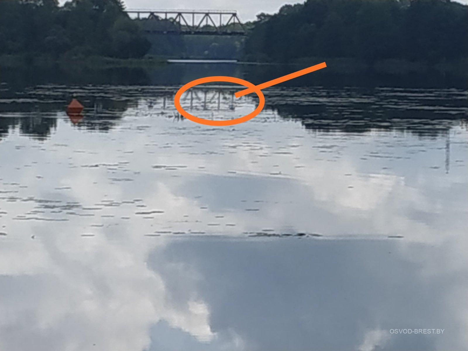 В Бресте мужчина ночью пошел купаться и пропал - успели спасти