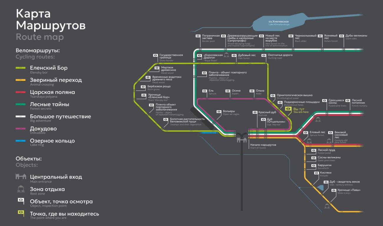 Новый велосипедный маршрут «Еленский Бор» стал доступен для гостей Беловежской пущи
